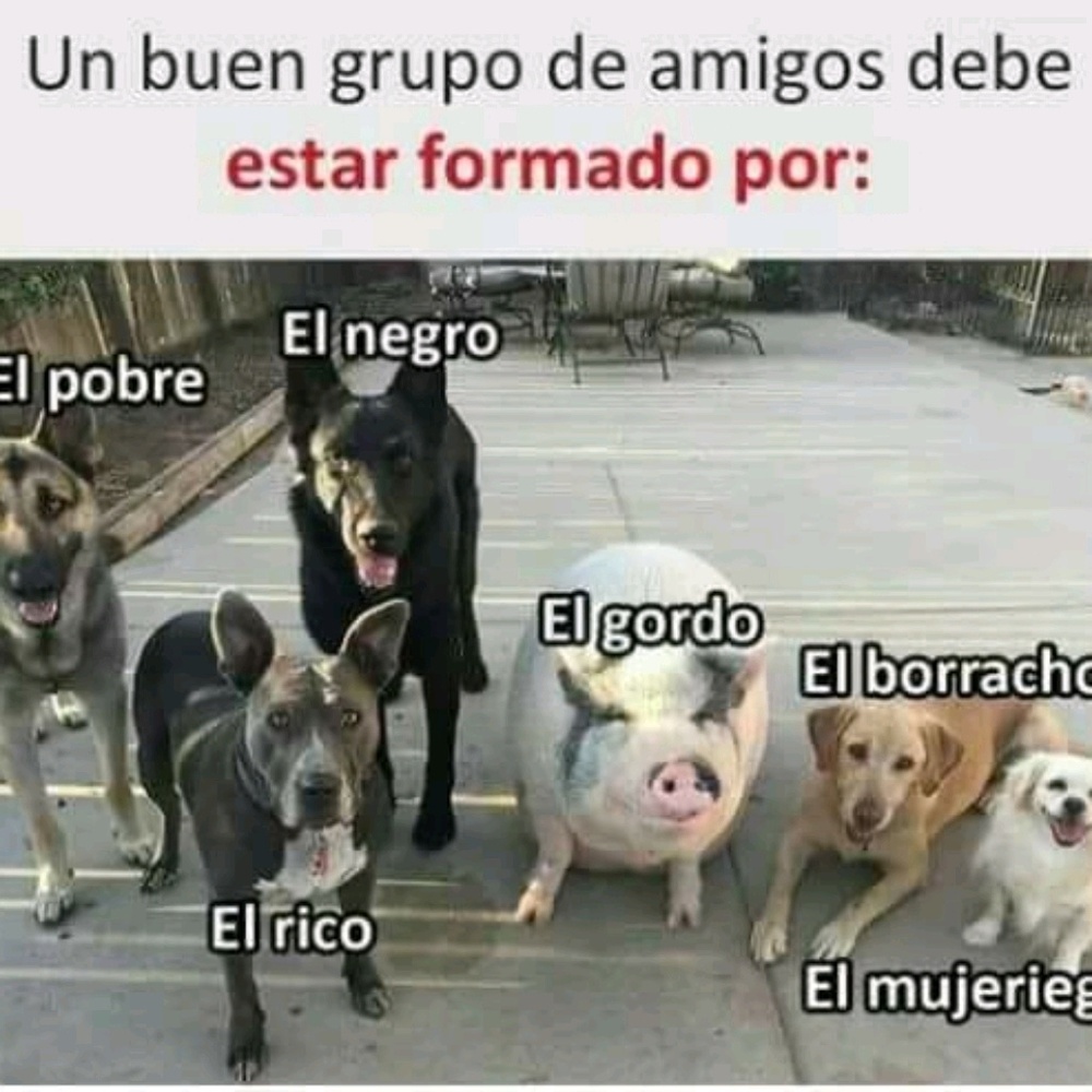 Meet your Posher, Maggie